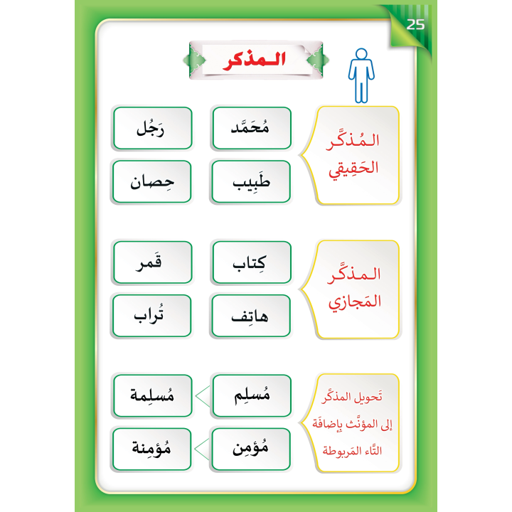 LECTURE ET EXERCICE NIVEAU 6 ( WASSALARABIC )