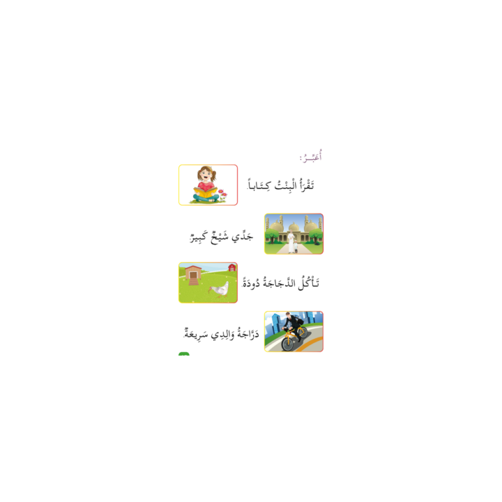 Apprends la langue arabe - Niveau spécial 11 ( SANABEL BELGIQUE )