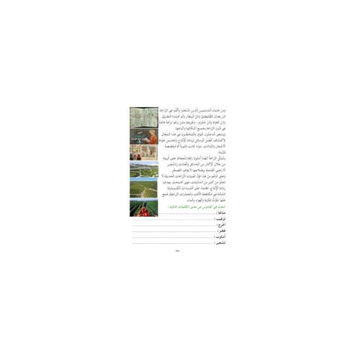 LECTURE EXERCICES SECONDAIRE NIVEAU 4 ( SANABEL BELGIQUE )