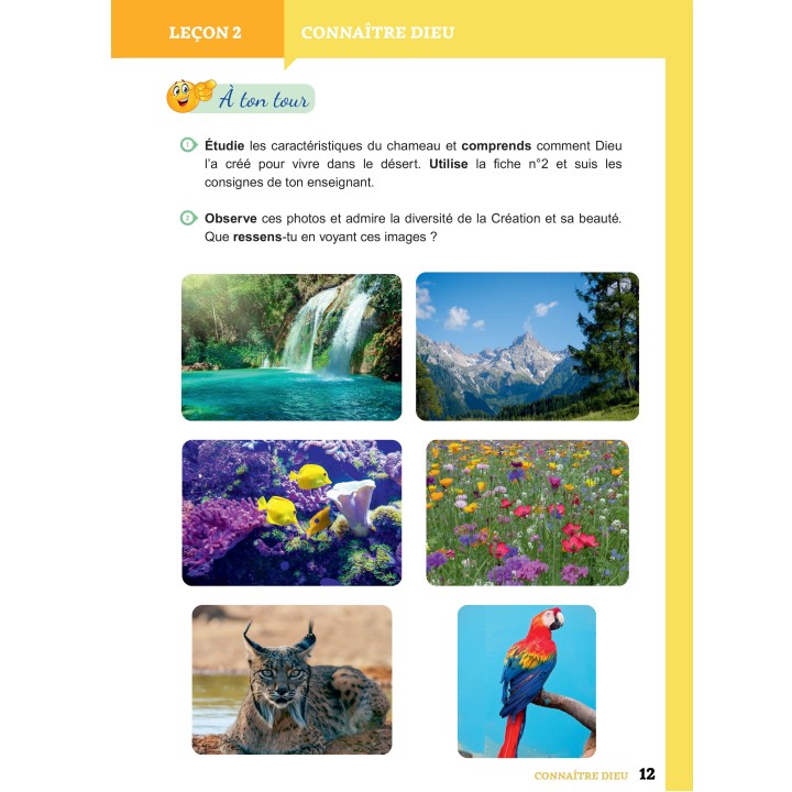 Apprendre pour grandir - Pochette Complète Niveau 2