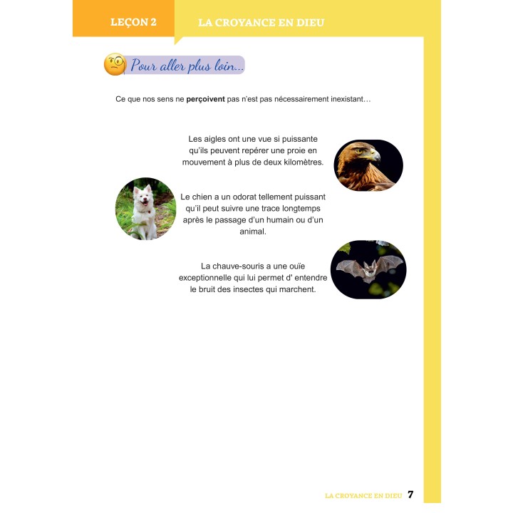 Apprendre pour grandir - Pochette Complète Niveau 3
